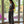 Set de embarazo y lactancia Maite •Rayas negro•