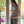 Set de embarazo y lactancia Maite •Rayas negro•